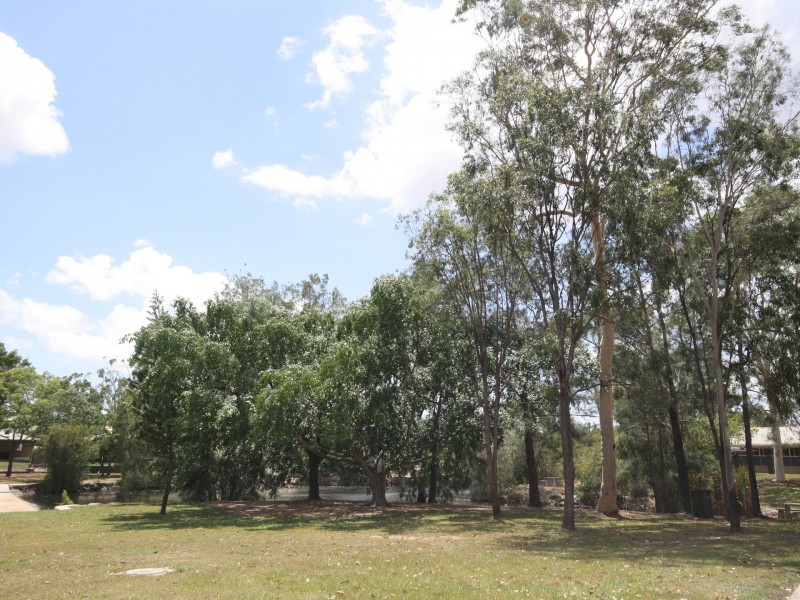 1 Fairbairn Place, Clinton QLD 4680