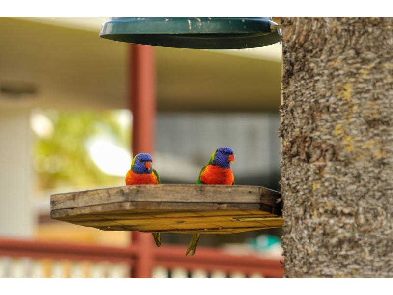 7 White Street, West Gladstone QLD 4680