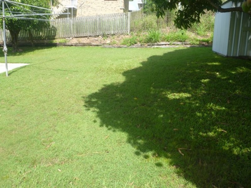 24 Aquarius Street, Clinton QLD 4680