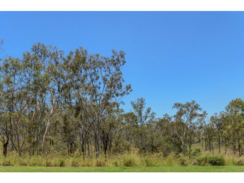 37 Stoneybrook Drive, Glen Eden QLD 4680