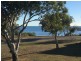 48 Turtle Street, Curtis Island QLD 4680