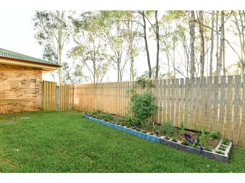 Unit 2/21 Shaw Street, New Auckland QLD 4680