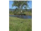 589 The Narrows Road, Mount Larcom QLD 4695
