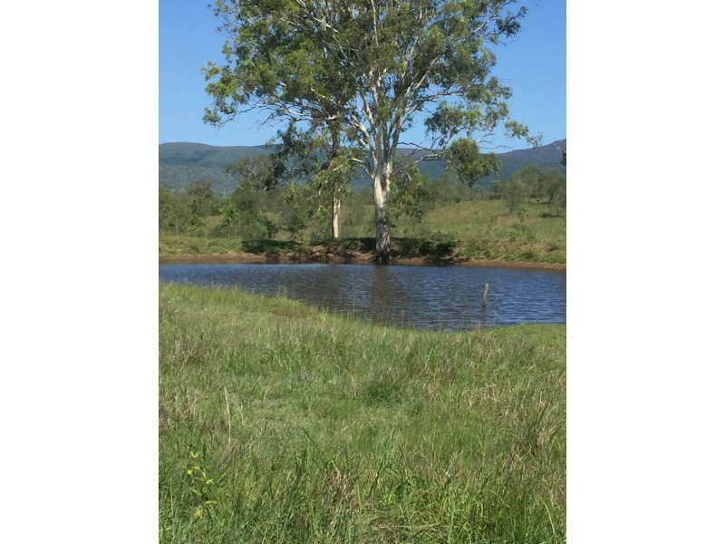 589 The Narrows Road, Mount Larcom QLD 4695