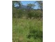 589 The Narrows Road, Mount Larcom QLD 4695