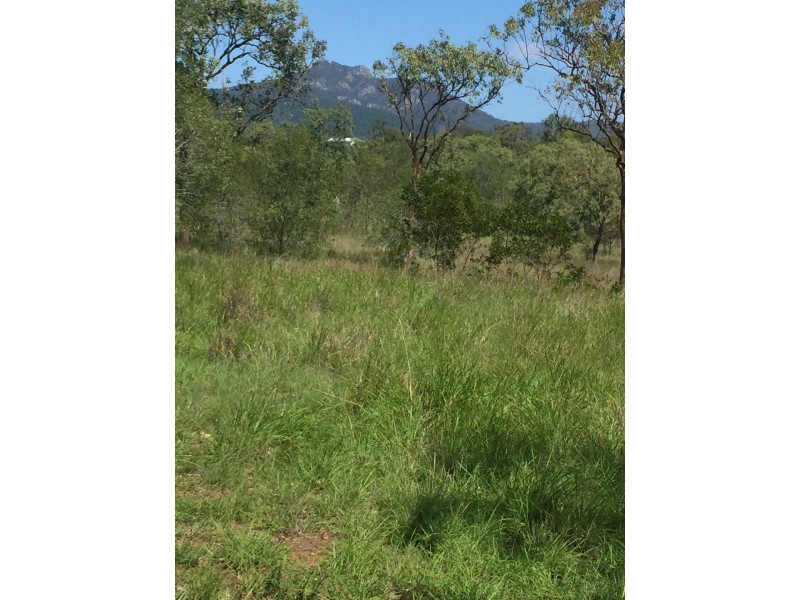 589 The Narrows Road, Mount Larcom QLD 4695