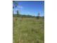 589 The Narrows Road, Mount Larcom QLD 4695