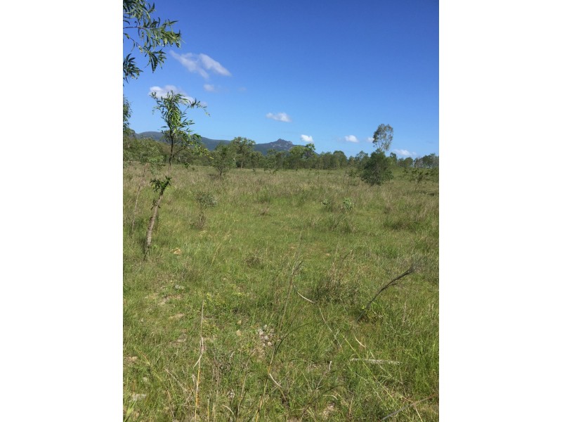 589 The Narrows Road, Mount Larcom QLD 4695