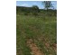589 The Narrows Road, Mount Larcom QLD 4695