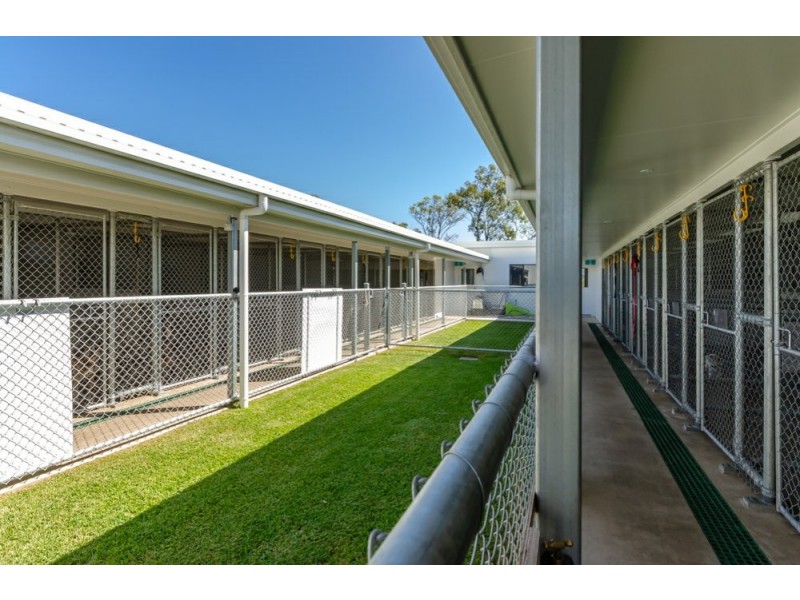 669 Taragoola Road, Calliope QLD 4680