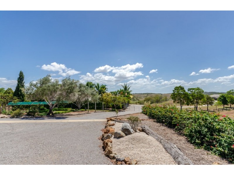 669 Taragoola Road, Calliope QLD 4680