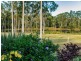 411 Jim Whyte Way, Burua QLD 4680