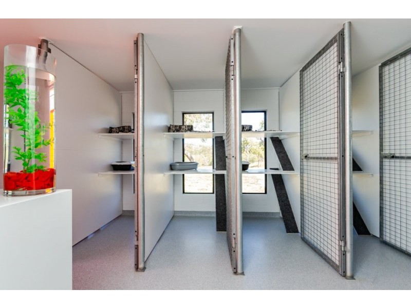 669 Taragoola Road, Calliope QLD 4680