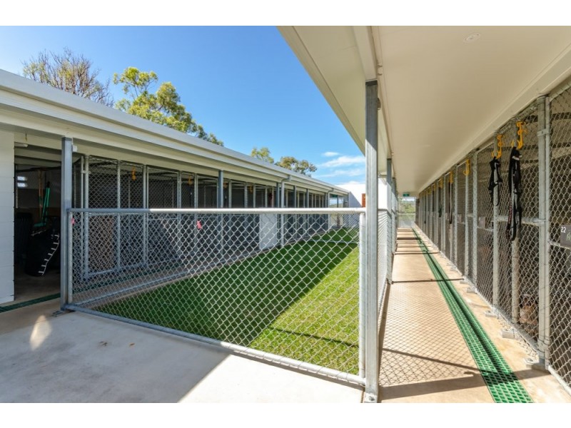 669 Taragoola Road, Calliope QLD 4680