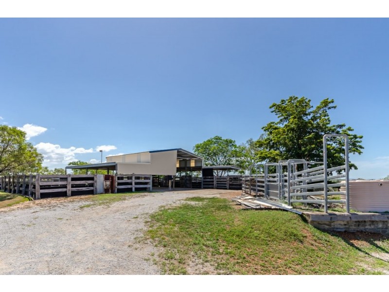 669 Taragoola Road, Calliope QLD 4680