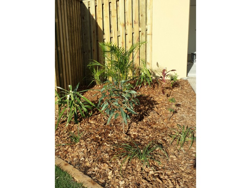 31 Valhalla Street, Clinton QLD 4680