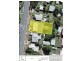 10 Ailsa Street, West Gladstone QLD 4680