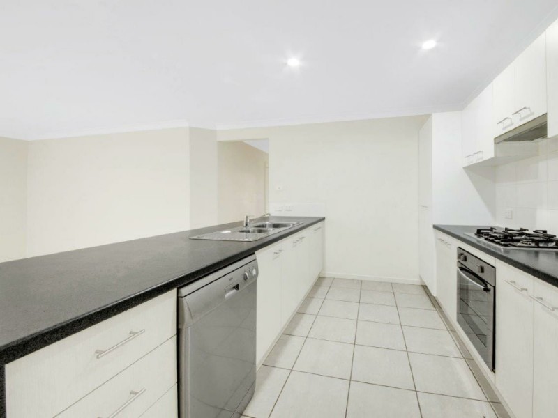 50 Daintree Boulevard, New Auckland QLD 4680