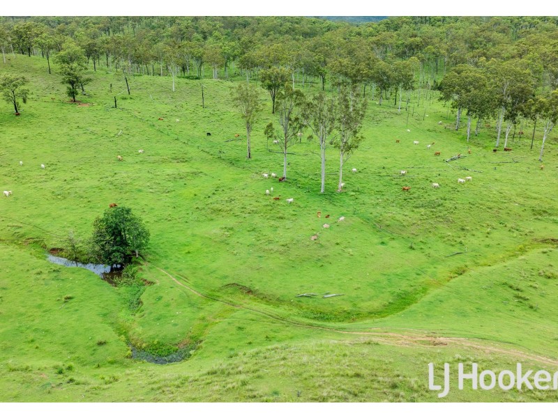 374 Austins Road, Bracewell QLD 4695