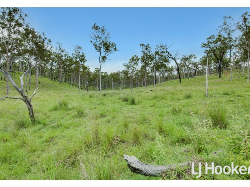 374 Austins Road, Bracewell QLD 4695
