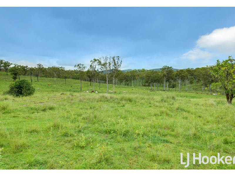 374 Austins Road, Bracewell QLD 4695