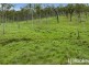 374 Austins Road, Bracewell QLD 4695