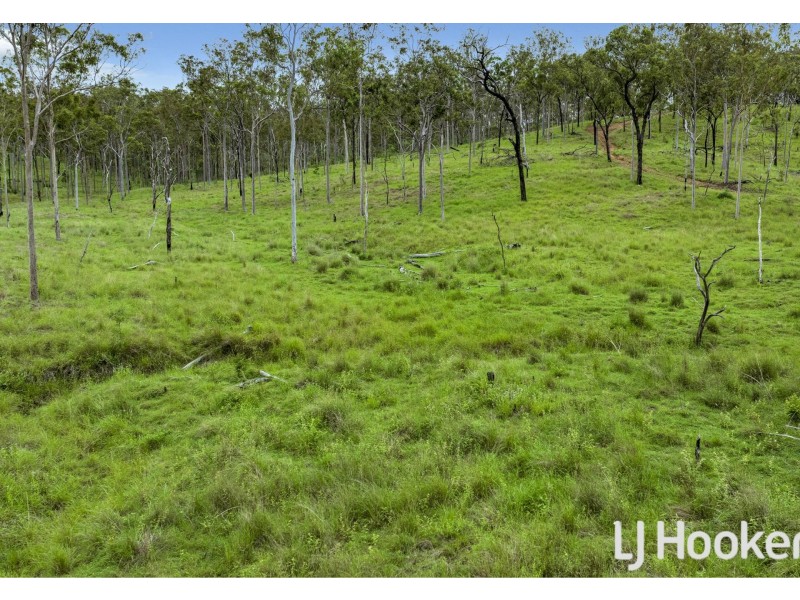 374 Austins Road, Bracewell QLD 4695