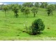 374 Austins Road, Bracewell QLD 4695