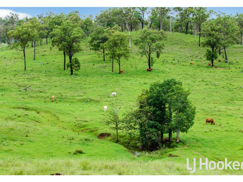 374 Austins Road, Bracewell QLD 4695