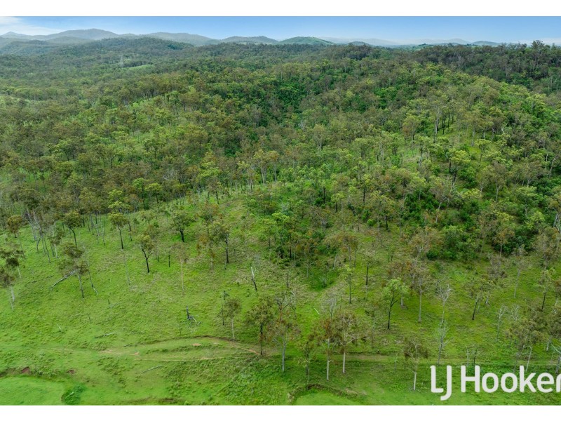 374 Austins Road, Bracewell QLD 4695