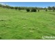 374 Austins Road, Bracewell QLD 4695