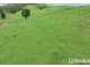 374 Austins Road, Bracewell QLD 4695