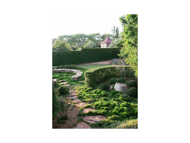 139 Wallaby Track, Mount Larcom QLD 4695