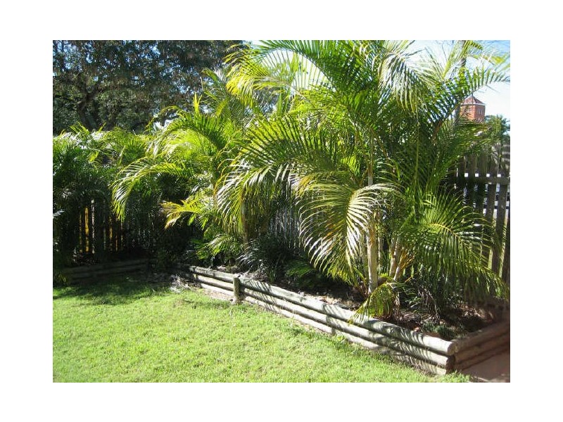 3/77 Auckland Street, Gladstone QLD 4680