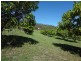 791 Calliope River Road, Calliope QLD 4680