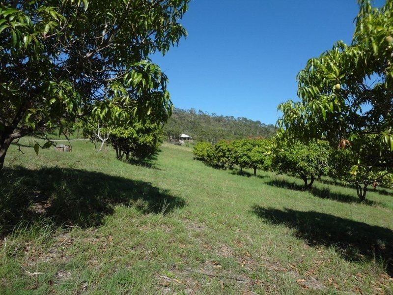791 Calliope River Road, Calliope QLD 4680