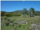 791 Calliope River Road, Calliope QLD 4680