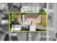 44 Fordholm Road, Hampton Park VIC 3976