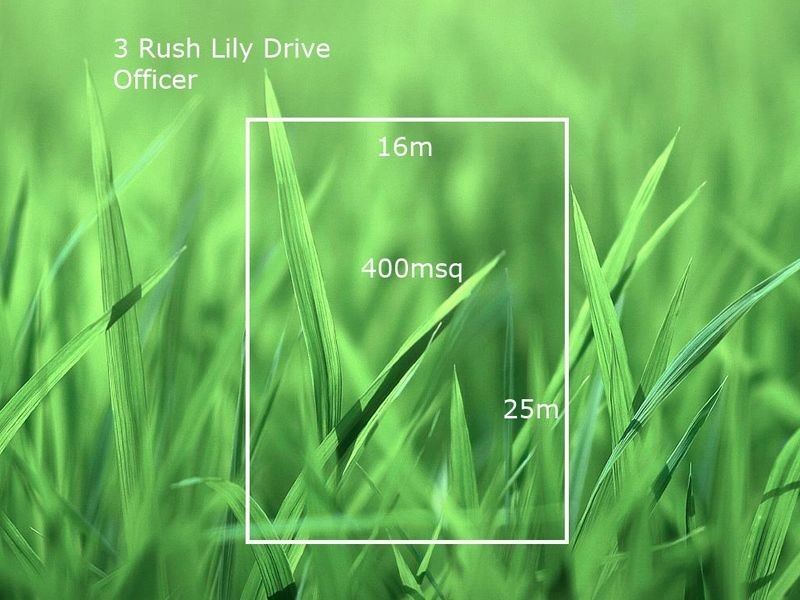 3 Rush Lily Drive, Officer VIC 3809