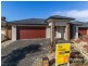 53 Selandra Boulevard, Clyde VIC 3978