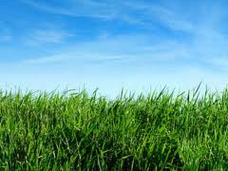 Lot 611/6 Hardeen Street, Tarneit VIC 3029