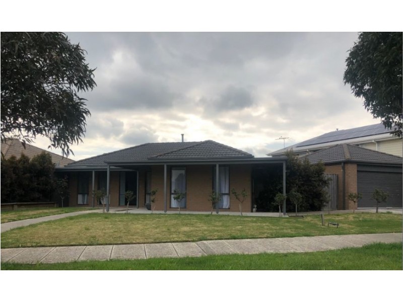 134 Paterson Drive, Lynbrook VIC 3975