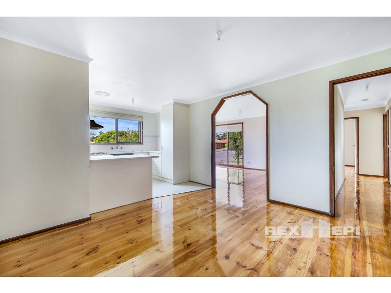 17 Arcadia Avenue, Hallam VIC 3803