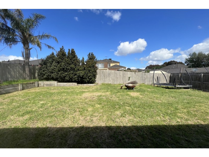 30 Olive Road, Lynbrook VIC 3975
