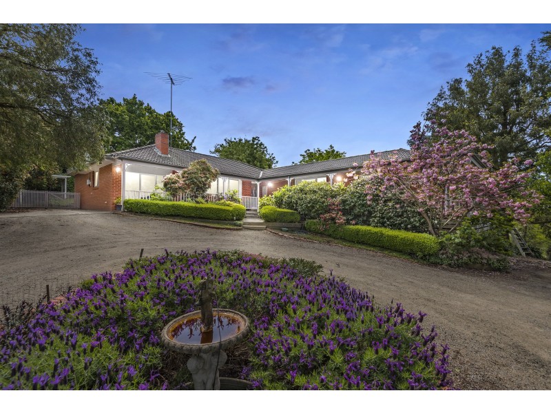 53 Peterson Road, Officer VIC 3809