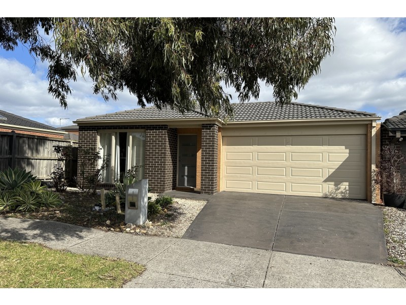 6 Red Poll Road, Cranbourne West VIC 3977