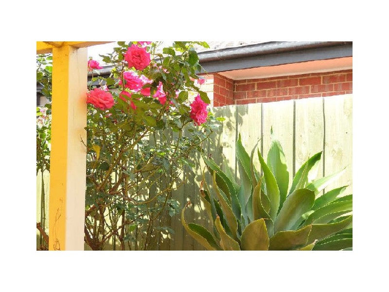 19 Mahogany Close, Hampton Park VIC 3976