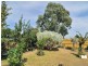 124 Fordholm Road, Hampton Park VIC 3976