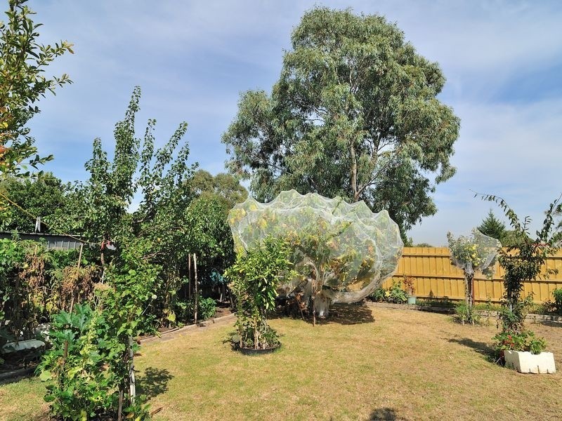 124 Fordholm Road, Hampton Park VIC 3976