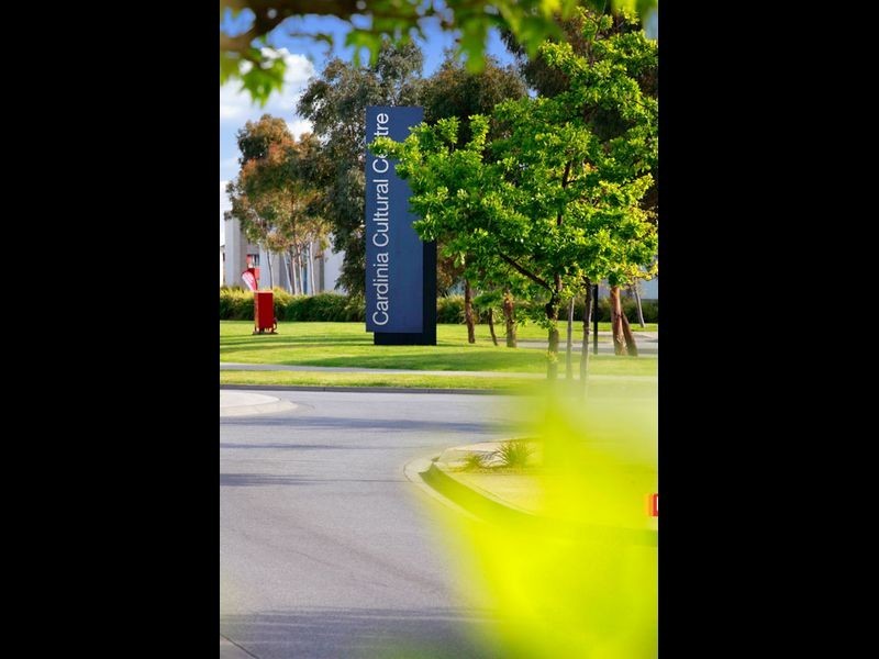 45 Cyan Crescent, Officer VIC 3809